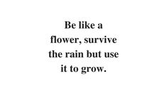 the words be like a flower, survive the rain but use it to grow