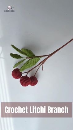 crochet litchii branch with berries on it and text overlay that reads, crochet litchii branch