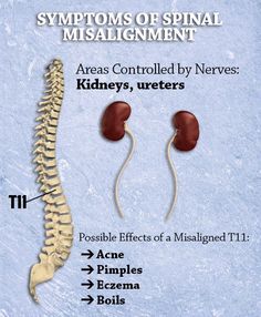 Chiropractic Benefits, Acupuncture Points Chart, Spinal Nerve, Human Anatomy And Physiology