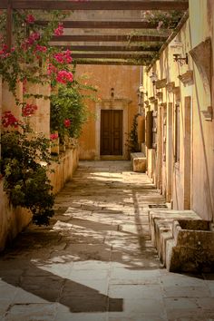 an alley way with potted plants and flowers on either side of the walkway, between two buildings