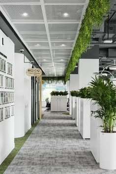 an office hallway with plants and pictures on the walls, along with hanging planters