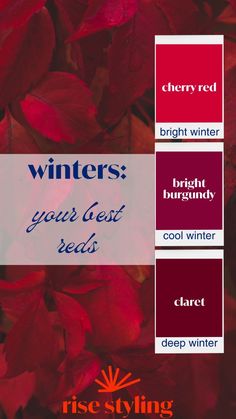 some red leaves and the words winter on them