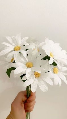 a hand holding a bunch of white flowers