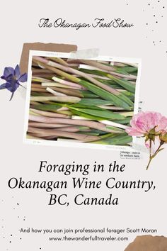 the flyer for foraging in the okanagan wine country, bc canada is shown