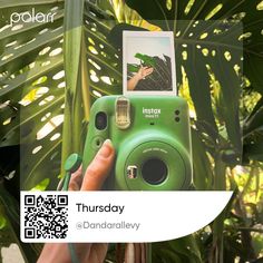 a person holding up a green camera in front of palm trees