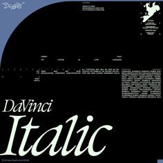 the back cover of an italian book with black and white lettering on it, which reads davini italia