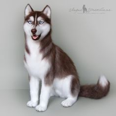 a stuffed husky dog sitting on top of a white floor next to a gray wall