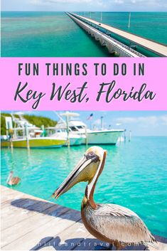 a pelican sitting on top of a wooden dock next to the ocean with text overlay that reads fun things to do in key west florida