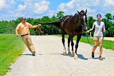 Equine protozoal myeloencephalitis (EPM) is notoriously difficult for veterinarians to diagnose and equally tricky to treat. But there’s hope as researchers continue to investigate this neurologic disease. Learn more in this archived Q&A podcast, sponsored by Kentucky Performance Products. Poisonous Flowers, Farm Landscaping, Degenerative Disease, Good For Her, Horse Farm, Veterinary Medicine, Large Animals