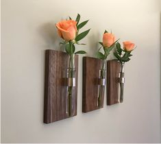 three vases with flowers in them are hanging on the wall next to each other