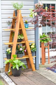 a wooden plant stand with potted plants on it and a ladder leaning against the wall