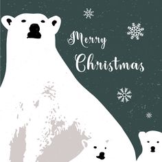 a polar bear and her cub are standing in front of snowflakes with the words merry christmas