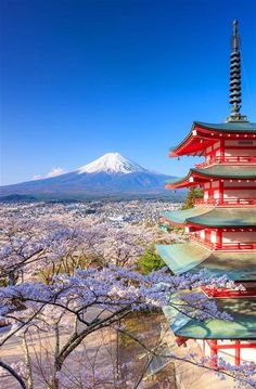 the pagodas and cherry blossom trees are in full bloom with mount fuji in the background