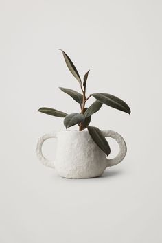 a potted plant is sitting in a white cup