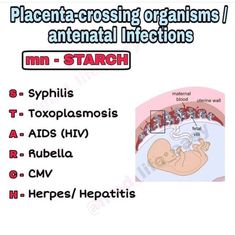 the diagram shows how many different types of organ systems are involved in an animal's body