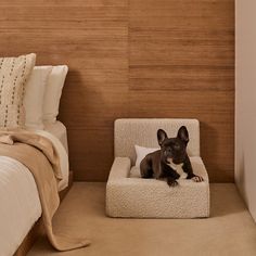 a small dog sitting in a chair next to a bed