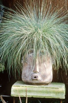 a stone head with grass growing out of it's face on top of a bench