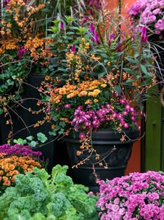 colorful flowers are growing in large black pots