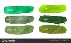 the different shades of green paint on white background stock photo - 548972