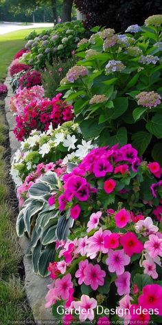 many different types of flowers are lined up along the side of a road with trees in the background