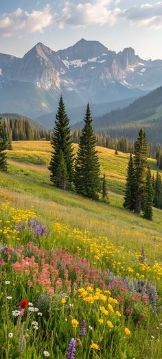 a field full of flowers and trees with mountains in the background