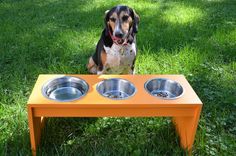 a dog is sitting in the grass with his food bowls on an orange elevated table