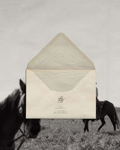 a horse is pulling an envelope over its head