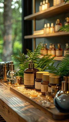 the shelves are filled with many different types of skin care products and plants in front of them