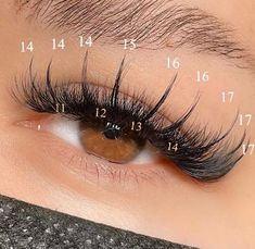 Whispy Lashes Extensions Map, Eyelash Extensions Salons, Best Lash Extensions, Wispy Eyelashes, Eyelash Tips