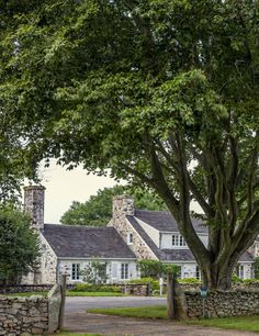 a large tree in front of a white house with stone walls and chimneys on either side