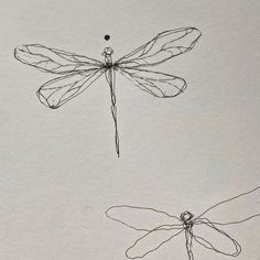 two drawings of dragonflies flying in the sky