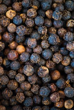 close up view of some kind of blueberry fruit that looks like it has been picked from the tree