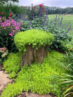 a wooden stump surrounded by green grass and flowers