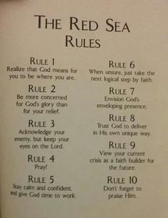 the red sea rules are written in english