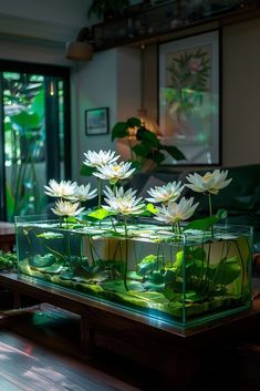 some white water lilies in a glass container