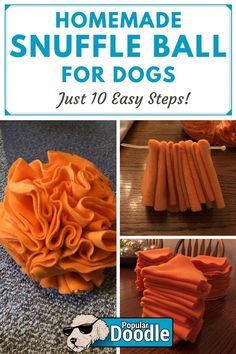 homemade snuffle ball for dogs with instructions on how to make it in just 10 easy steps