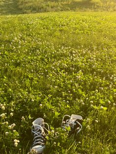 a pair of shoes sitting in the middle of a field with grass and wildflowers