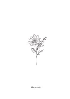 a drawing of a flower on a white background with the words barte noir above it