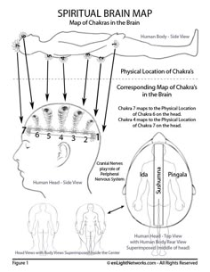 Brain Map, Polarity Therapy, Reiki Practice, Brain Mapping, Chakra Health, Energy Healing Reiki, Your Higher Self, Spirit Science, Energy Healing Spirituality