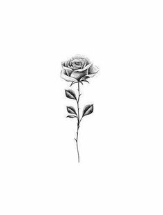 Rose Stem Tattoo Men, 1998 Tattoo, Rose Stem Tattoo, Little Rose Tattoos, Tiny Tattoos With Meaning, Simple Bird Tattoo, Lightning Tattoo, P Tattoo, Inner Forearm Tattoo