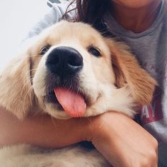 a woman holding a dog with its tongue out