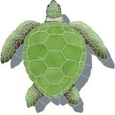 a drawing of a green sea turtle on a white background with clippings to the side