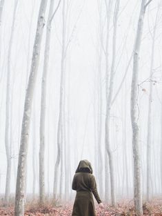 a person in a hooded jacket is walking through the woods on a foggy day