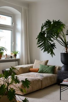 a living room filled with lots of plants next to a window