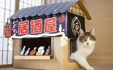 Cardboard Cat House, Cat Houses Indoor, Cardboard Cat Scratcher, Cat Tree House, Cat Condo, Cat Scratching Post, Cat Scratcher, Style Japonais, Scratching Post