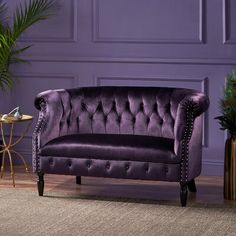 a purple couch sitting next to a plant in front of a purple wall and wooden floor