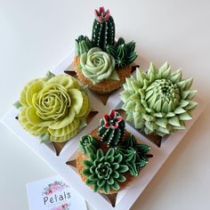 four cupcakes decorated with succulents and flowers on a white plate