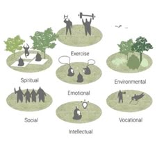 an image of people doing different things in the park, including trees and other things