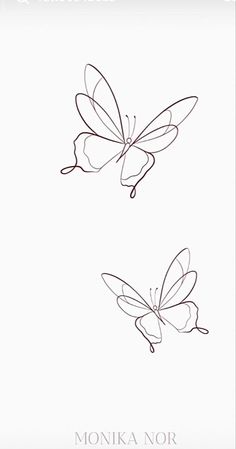 two butterflies flying side by side on a white background with the words monika nor written in