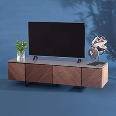 an entertainment center with a flat screen tv on it's stand and a plant in front of it